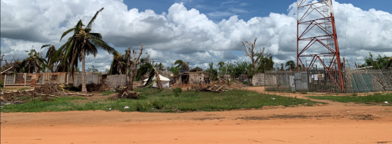 Palmeras derribadas en Mecufi, Cabo Delgado, Mozambique