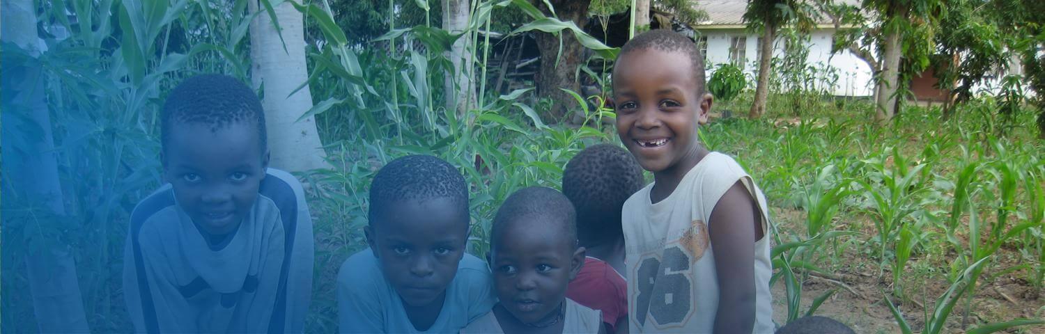 Zimbabue cabecera