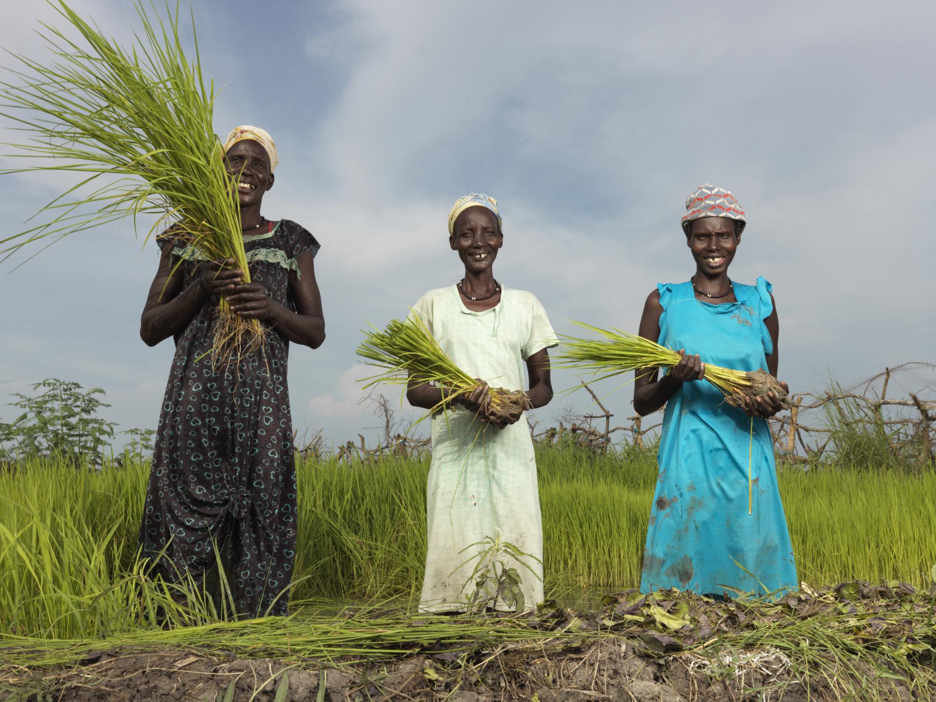SSD_2022_Rice_PeterCaton_6.
