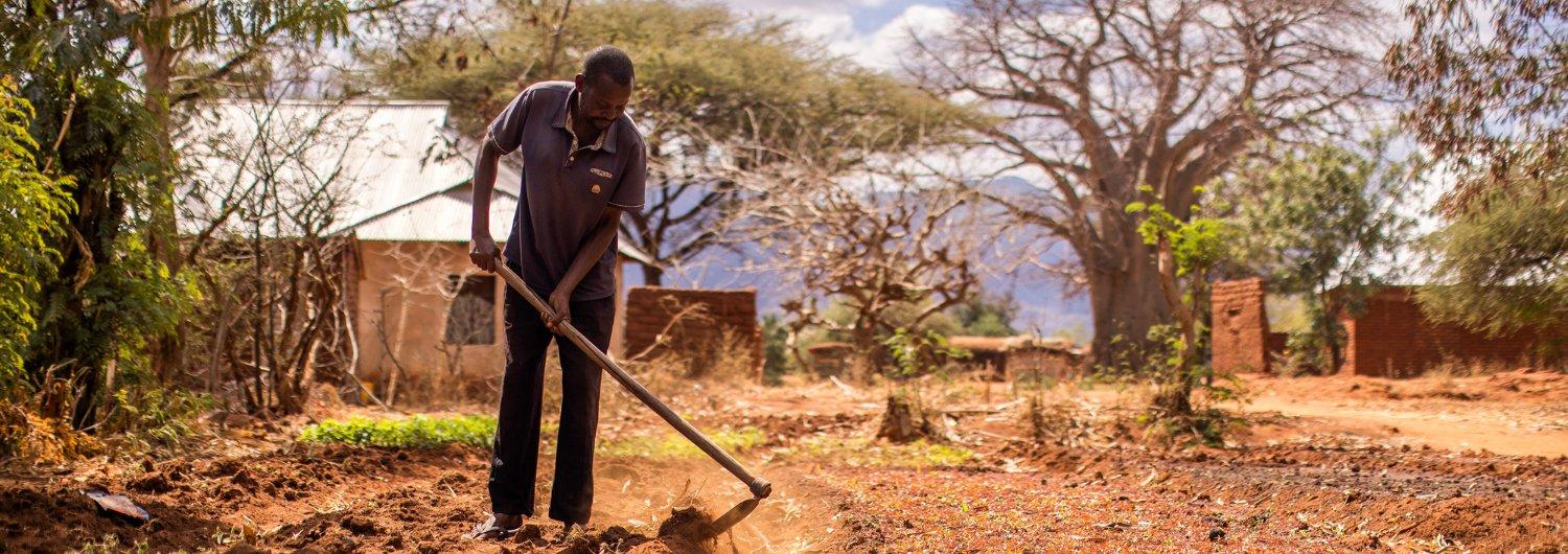 La crisis climática requiere de una transformación radical de los sistemas alimentarios 
