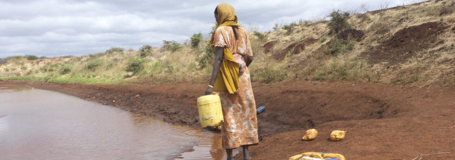 Día Mundial de la Seguridad Alimentaria: el hambre, agravada por la inseguridad y los conflictos