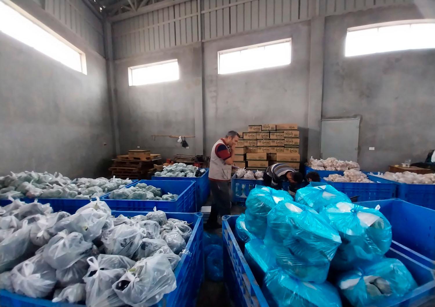 El alto el fuego en Gaza ha sido insuficiente, nuestros equipos continúan trabajando a pesar de los desafíos 