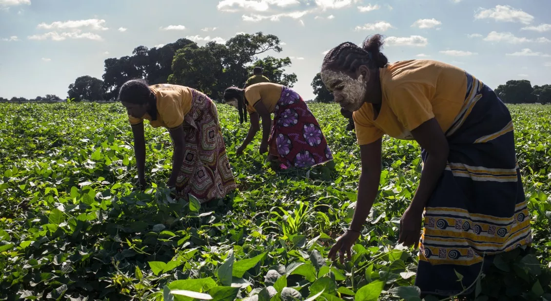 madagascar-context-climate-change-2023-rijasolo-22-accion-contra-hambre-madagascar