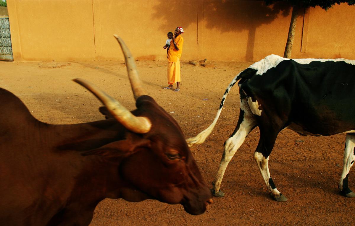 mujer-ganadera-agricultura-níger
