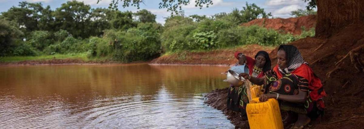 Las aguas negras producen enfermedades, pestes y contaminación ambiental que deriva en miles de muertes al año