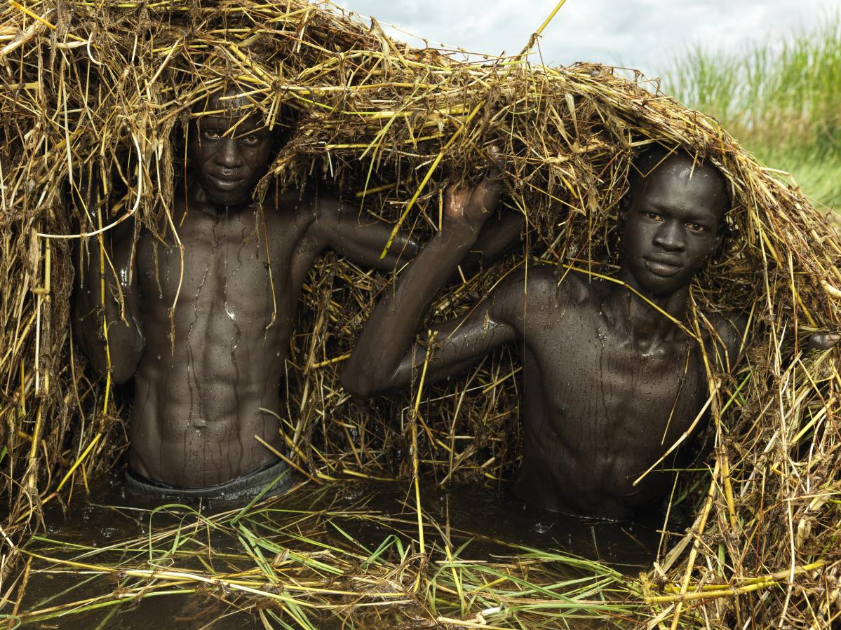 rendimiento del arroz en 2050 