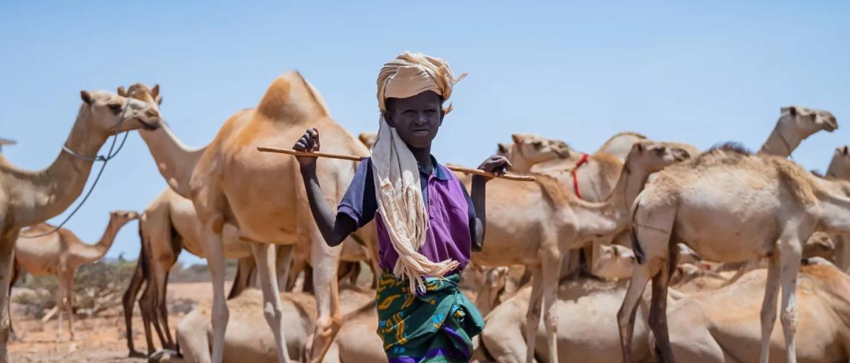 El hambre amenaza a millones de personas en el Cuerno de África