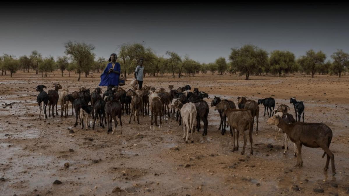 SURVIVRE EN PÉRIODE DE SÉCHERESSE
