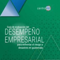 guia desempenio 300617 1